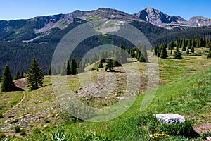 Molas Divide Overlook in the San Juan Mountains