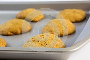 Molasse cookies