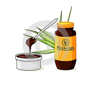 Molasses bottle. A product made from sugar cane. A bowl with a spoon and syrup on a white isolated background. Vector