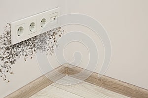 Mold around sockets on wall in room