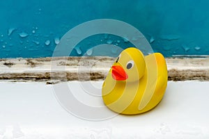 Schimmel bad Ente spielzeug schmutzig das Bad 