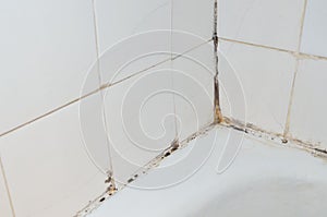 Mold in bathroom