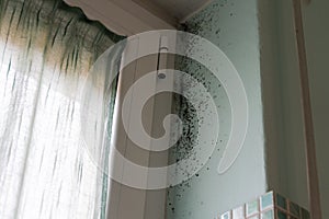 Mold in the bathroom