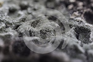Mold on bread detailed closeup