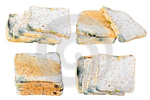 Mold on bread expired isolated