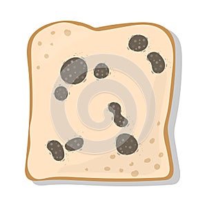 Mold on Bread Gray