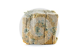 mold bread