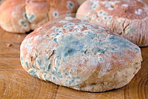 Mold on bread rolls