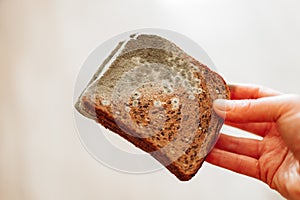 Mold on bread.Mold stains on whole grain bread in hands close-up.Spoiled baked goods.Stale bread. Whole grain bread in photo