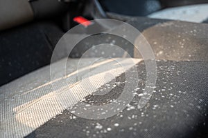 Mold on a car seat that has been left unused for several months