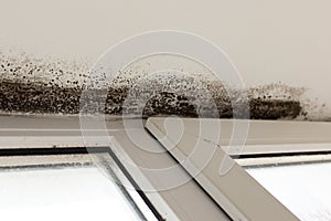 Mold in the corner of the plastic windows