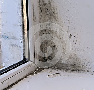 mold in the corner of a wet window