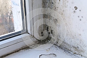 mold in the corner of a wet window