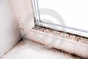 Mold in the corner of the window