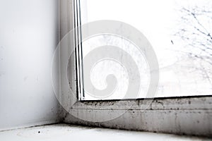 Mold in the corner of the window
