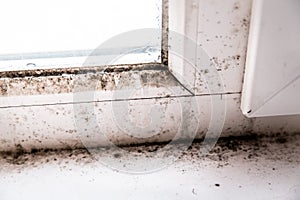 Mold in the corner of the window