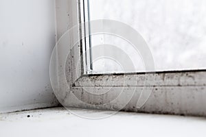 Mold in the corner of the window
