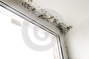 Mold in the corner of the window.