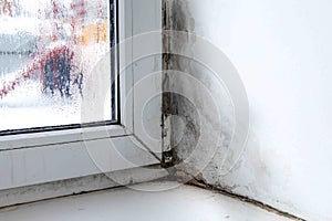 Mold in the corner of the window photo