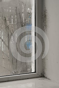 Mold in the corner window