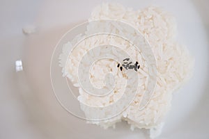 Mold of flower shape cooked rice on white dish