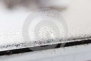 Mold on a foggy plastic window of white color.