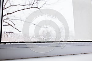 Mold on a foggy plastic window of white color.