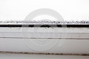 Mold on a foggy plastic window of white color.