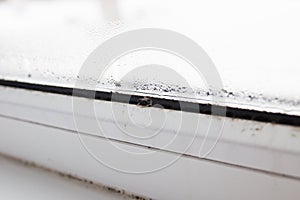 mold on a foggy plastic window of white color.