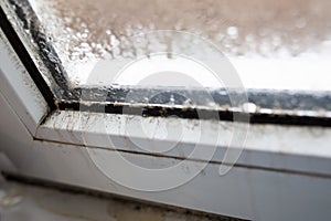 Mold on a foggy plastic window of white color.