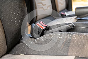 Mold and fungus on the drivers seat of a car seat that has been laid up, unused for several months