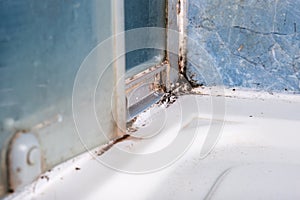 Mold fungus and rust growing in tile joints in damp poorly ventilated bathroom with high humidity, wtness, moisture and