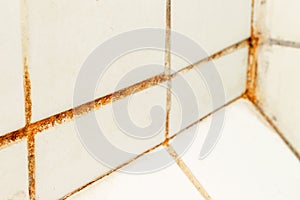 Mold fungus and rust growing in tile joints in damp poorly ventilated bathroom with high humidity, wtness, moisture and dampness