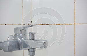 Mold or fungus of the wall in the Shower room causing black or brown mold in the bathroom