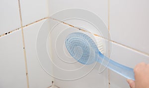 Mold or fungus of the wall in the Shower room causing black or brown mold in the bathroom or toilet room caused by the hot water