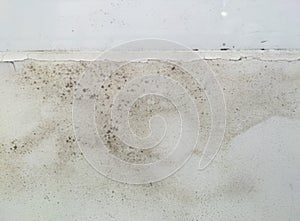 mold fungus on white window wall. Dampness problem