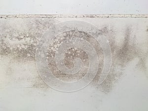 mold fungus on white window wall. Dampness problem