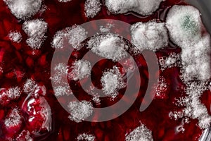 Mold in a glass jar of red raspberry jam, close up, top view. Mold is very dangerous to health