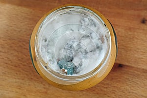 Mold growing in a jar with food