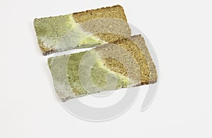 Mold growing rapidly on moldy bread
