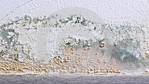 Mold growth on the walls inside an apartment building