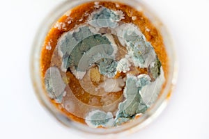 Mold in a jar with zucchini caviar top view