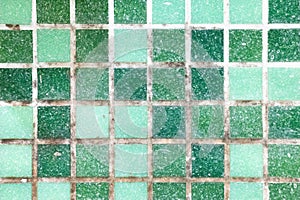 mold on joints between the ceramic tile in bathroom. old black toxic mildew dirt on the white seams of green mosaic tiles before c