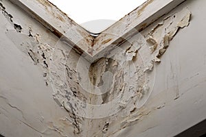 Mold, mildew on the wall in humid places. The most destructive fungus due to moisture and lack of ventilation. Peeling paint due