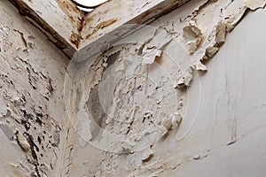 Mold, mildew on the wall in humid places. The most destructive fungus due to moisture and lack of ventilation. Peeling paint due