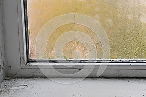 mold and mildew on a wet window