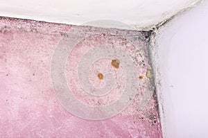 Mold and moisture buildup on pink wall