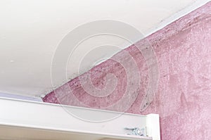 Mold and moisture buildup on pink wall