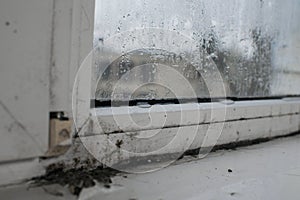 Mold near the plastic window due to humidity. wet glass