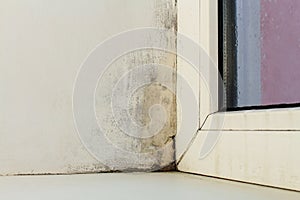 Mold near a window in the house.